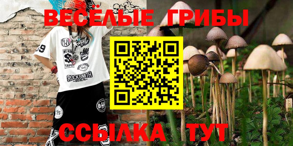 Галлюциногенные грибы мицелий  Вход с VPN  Казань  Галлюциногенные грибы Cubensis 